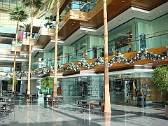 058 Detroit Scenes [2008 Nov 27]